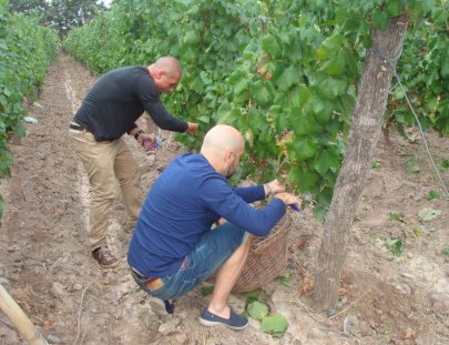 Bodega Tapiz-Tour guide for experts in Wine Warehouse