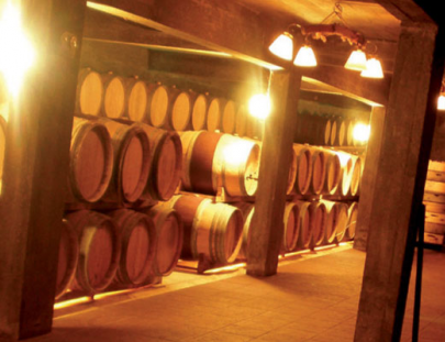 Bus Turistico Montevideo-Tour de Bodegas & Viñedos en Montevideo