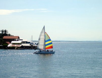 Bocas Del Toro Sailing-Sailing and Dolphin Adventure in the Caribbean