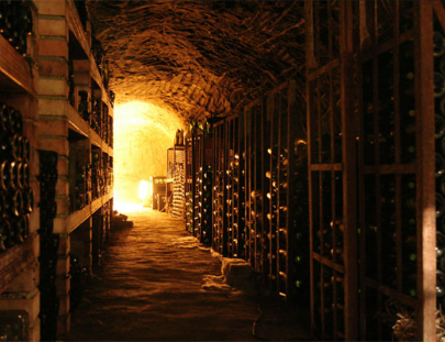 Bus Turistico Montevideo-Tour de Bodegas & Viñedos en Montevideo