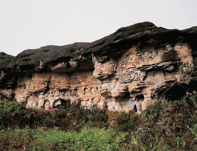 Nativa Tours Khasen-Excursión y campamento en el más alto de los tepuyes de Venezuela