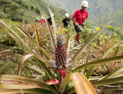 Cola De Mono-COLA DE MONO CANOPY TOUR