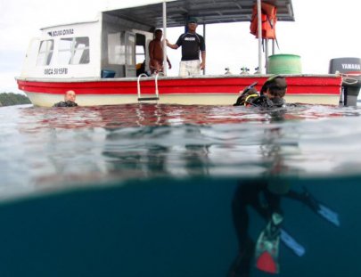 Scuba Coiba-Multy-Day Scuba Diving Trip around Coiba Island