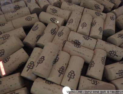 Bodega Tapiz-Tour guide for experts in Wine Warehouse