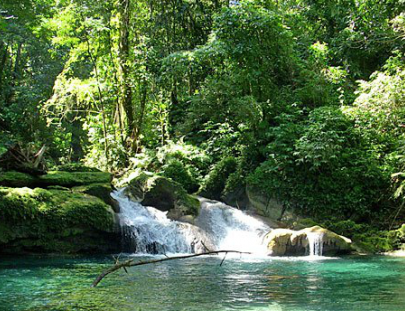 The Portland Experience-Visita Reach Falls, escenario de películas de Hollywood