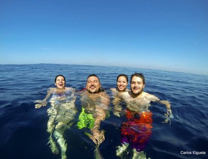 Avistamiento De Ballenas Jorobada Guatemala-Humpback whale watching in their natural habitat!