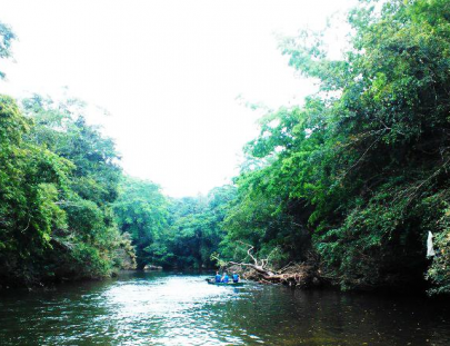  Piragüismo el río Macal, una experiencia inolvidable  - Crystal Paradise Resort