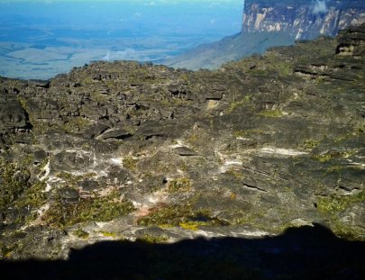 Coati Trekking- Trekking to the Plateau Chirikayen Tepui in Venezuela
