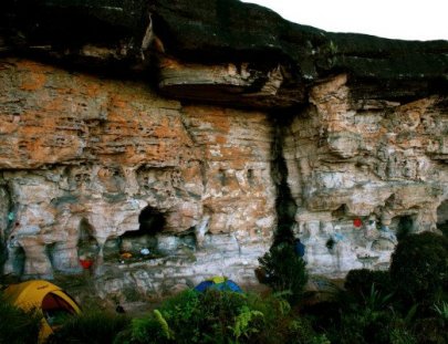 Coati Trekking- Trekking to the Plateau Chirikayen Tepui in Venezuela