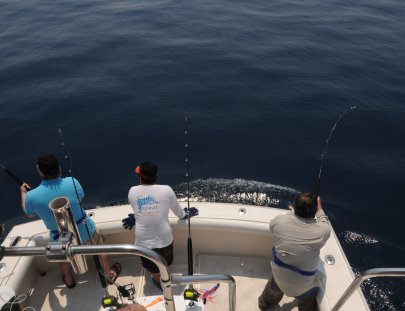 Parlama Sport Fishing-1 día de pesca deportiva en las aguas del Pacífico 