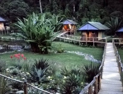 An ecological hotel to get away from the city life - Santuario Natural El Tular