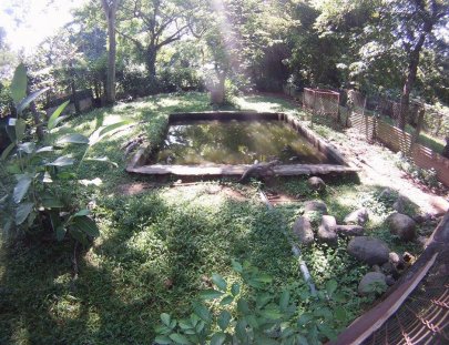 Antigua Exotic-Reptiles and exotic animal tour near Antigua!