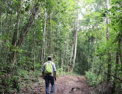 Cooperativa Carmelita-Expedición al Mirador Peten  5 días  y 4 noches 