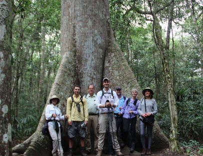 Cooperativa Carmelita-Expedición al Mirador Peten  5 días  y 4 noches 