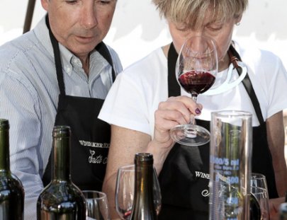 Aprende y siéntete como un enólogo haciendo tu propio vino en los viñedos de Santa Rita en Santiago de Chile - Santa Rita