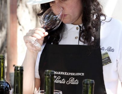 Santa Rita-Aprende y siéntete como un enólogo haciendo tu propio vino en los viñedos de Santa Rita en Santiago de Chile