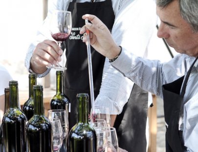 Santa Rita-Aprende y siéntete como un enólogo haciendo tu propio vino en los viñedos de Santa Rita en Santiago de Chile