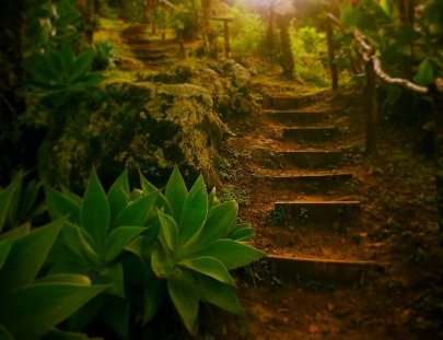 Earth Lodge-The best mountain lodge in Guatemala!