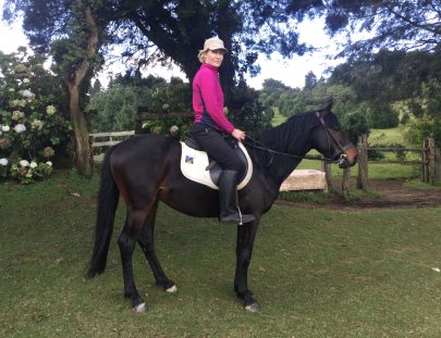 Equestours-3-4 hour horseback riding experience, beginners welcome!