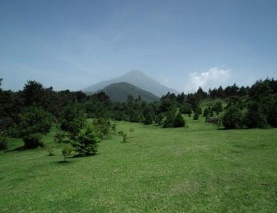 Equestours-3-4 hour horseback riding experience, beginners welcome!