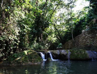 Greengo´s Hotel-ENJOY A NATURAL ENVIRONMENT IN Greengo's Hotel