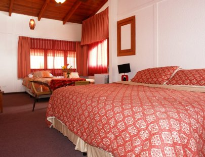 Hotel with warm and cozy environment - Hotel Donde Picho