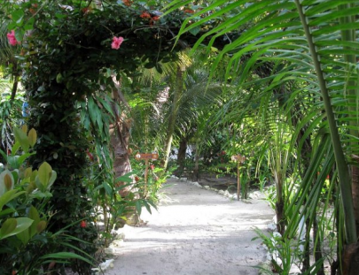 Hotel Salvador Gaviota-Taste a different Caribbean in Livingston