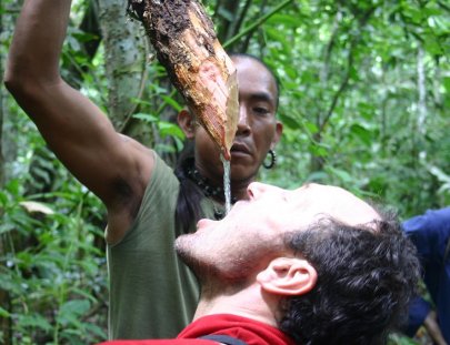 Aprende sobre plantas medicinales en un tour por la jungla del Parque Nacional Madidi - Max Adventures