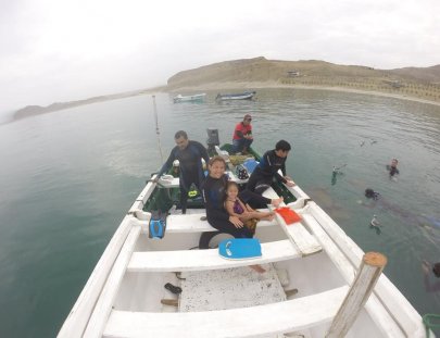Iguana's Trips-Snorkeling with Green Turtles at the South of Peru