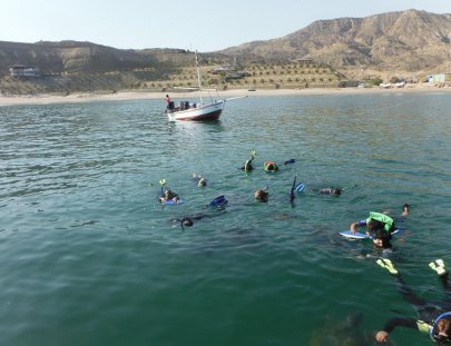 Iguana's Trips-Snorkeling with Green Turtles at the South of Peru