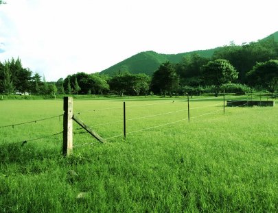 La Azotea Cultural Center -Tour de museo y plantación de café