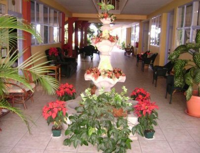 Posada El Delfín-Stay in a picturesque fishing village by the Caribbean Sea