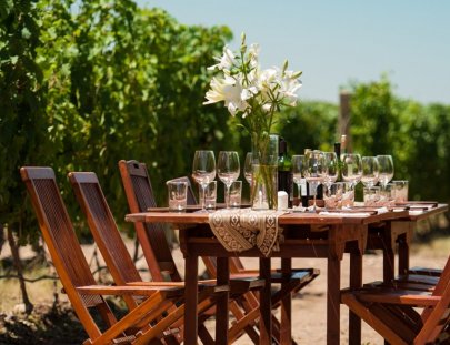 The Vines Of Mendoza-A private place for and intimate dinner in Mendoza