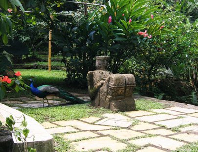 Takalik Maya Lodge-ENJOY THE SUITE IN THE FOREST