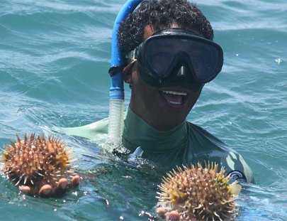 Coastal cruise in northern Peru - Pacífico Adventures