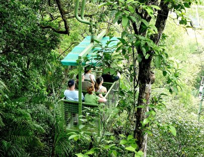 Gamboa Rainforest Resort -Tour Gamboa\'s Rainforest on an Aerial Tram