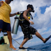 Alex Scuba-Explore the underwater world of Cozumel