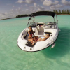 Deluxe Private Boat Tours-Deluxe Cozumel Boat Tours