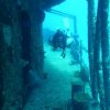 Babieca Dive Center-Completa un Curso de Aguas Abiertas en Quintana Roo