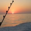 Pv Sportfishing-An action-packed day of Sport fishing 