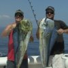 Pv Sportfishing-An action-packed day of Sport fishing 