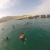 Iguana's Trips-Snorkeling with Green Turtles at the South of Peru