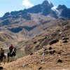 Hacienda Del Chalán-Horseback Ride in the Manthanay Reserve and Andean lakes