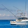 Chichi Charters-Deep Sea and bottom Fishing in Cozumel