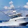 Chichi Charters-Deep Sea and bottom Fishing in Cozumel