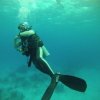 Scuba Gamma-Curso de Buceo Discovery Plus