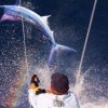 Master Baiter´s Sport Fisihig & Tackle -Overnight two Day deep sea Fishing trip