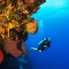 Manta Raya Divers-Mantaraya Divers