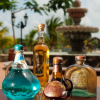 Hacienda Antigua-La historia del Tequila con Catación y un Tour de Procesos