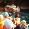 Secrets Of Peru-Islas Ballestas Marine Life Boat Tour